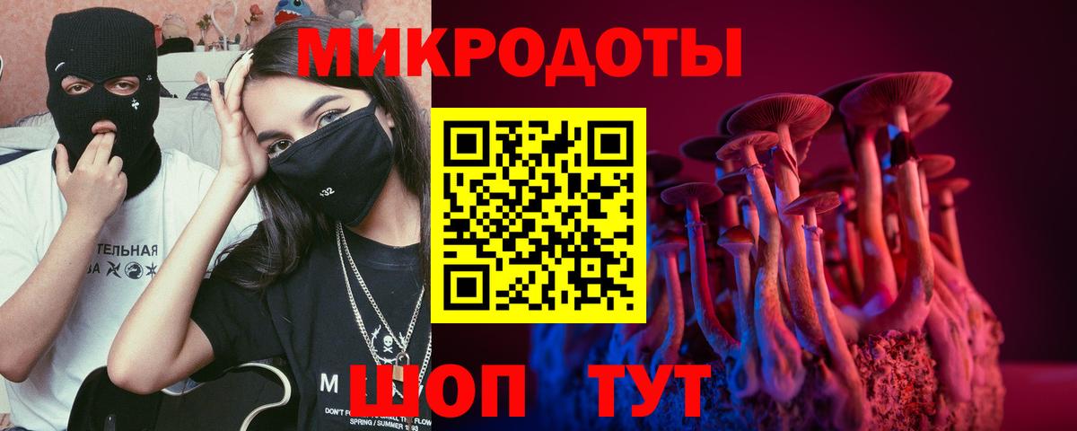 Псилоцибиновые грибы прущие грибы Вышний Волочёк